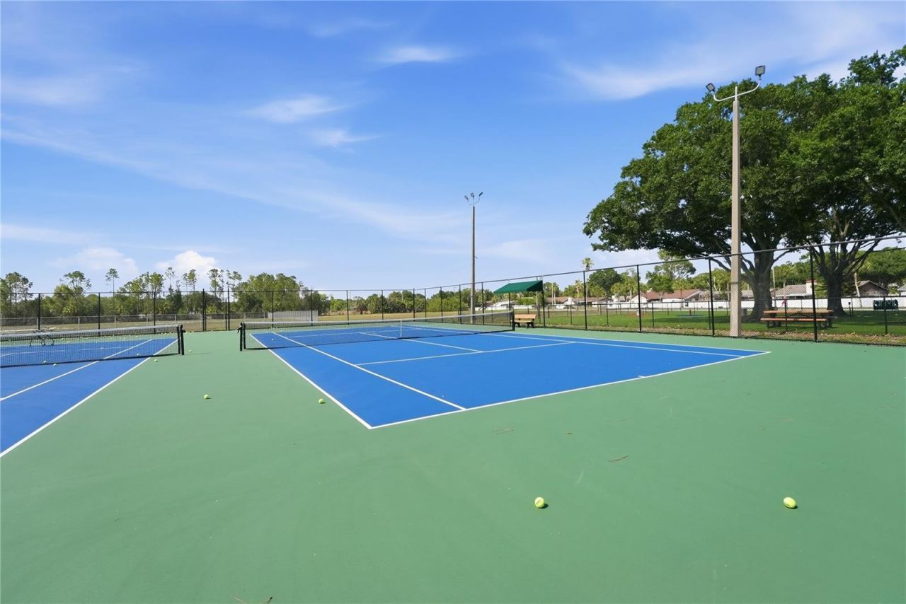 12942 Fennway Ridge Drive, Riverview, FL 33579 Photo