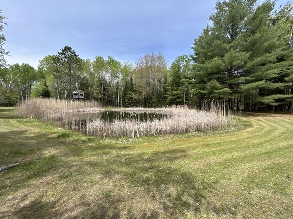 577 Wilderness Trail, St. Helen, MI 48656