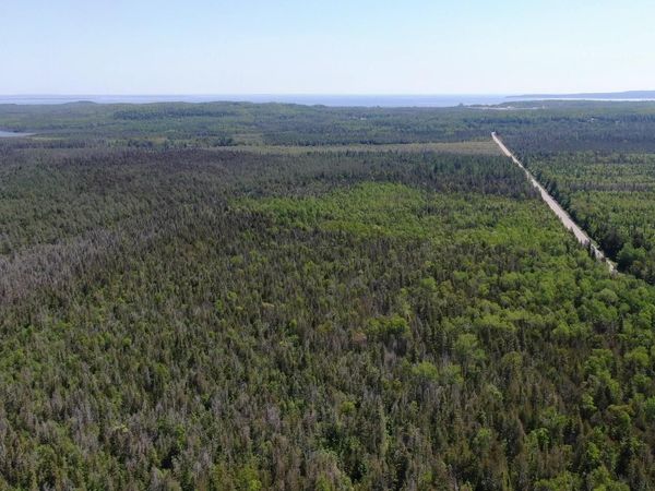 40 AC Cheeseman Road, St. Ignace, MI 49781
