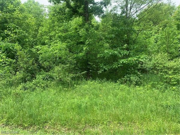 Pinney Topper Road , Ashtabula, OH 44004