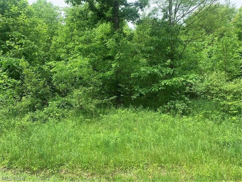 Pinney Topper Road , Ashtabula, OH 44004 Photo 1