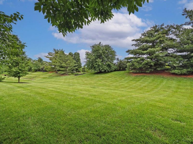 4172 E Village Drive, Mason, OH 45040 Photo 73