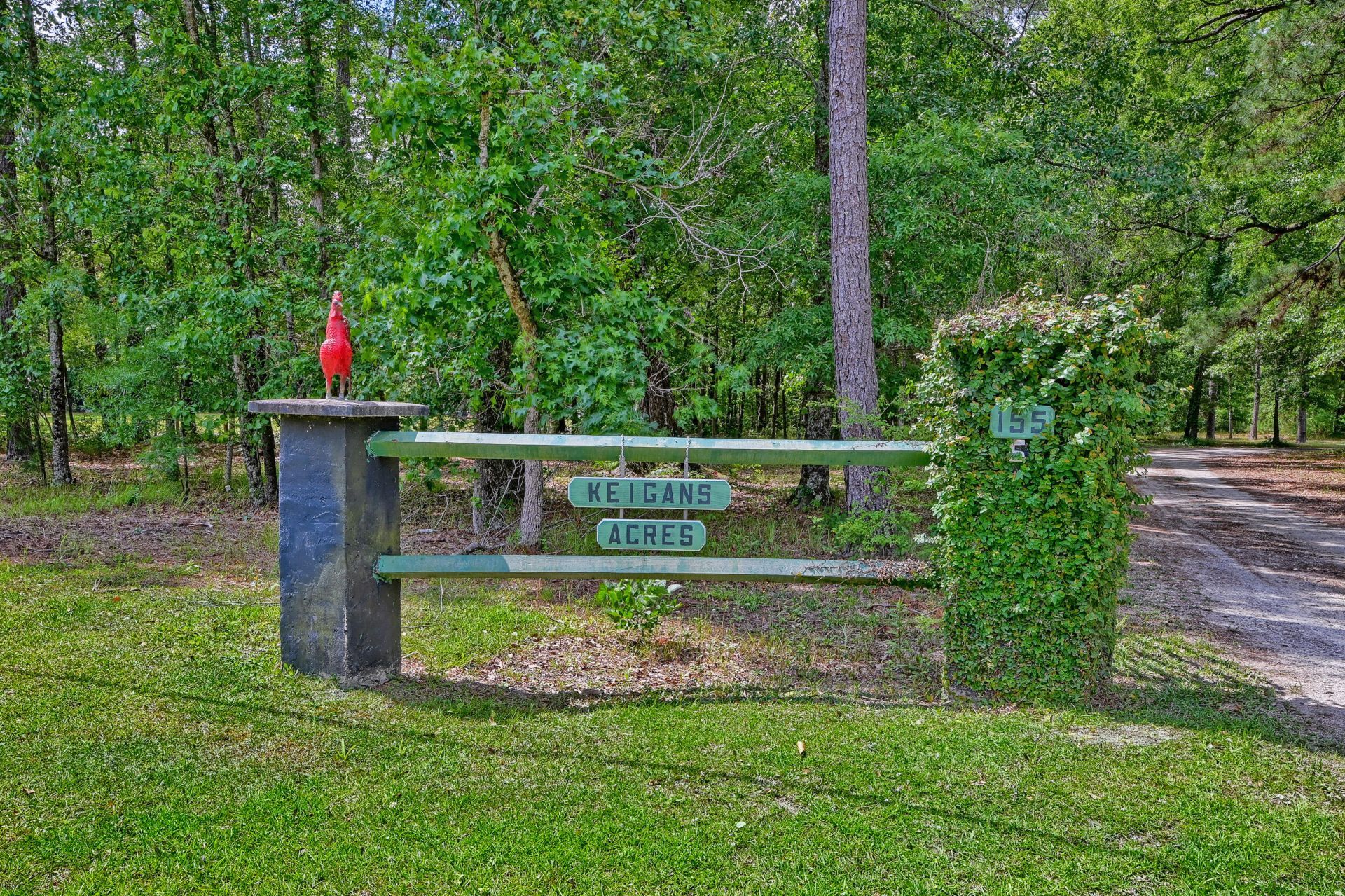 157 Gallashaw Road Photo 18