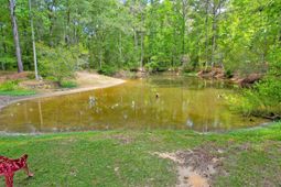 157 Gallashaw Road photo 4