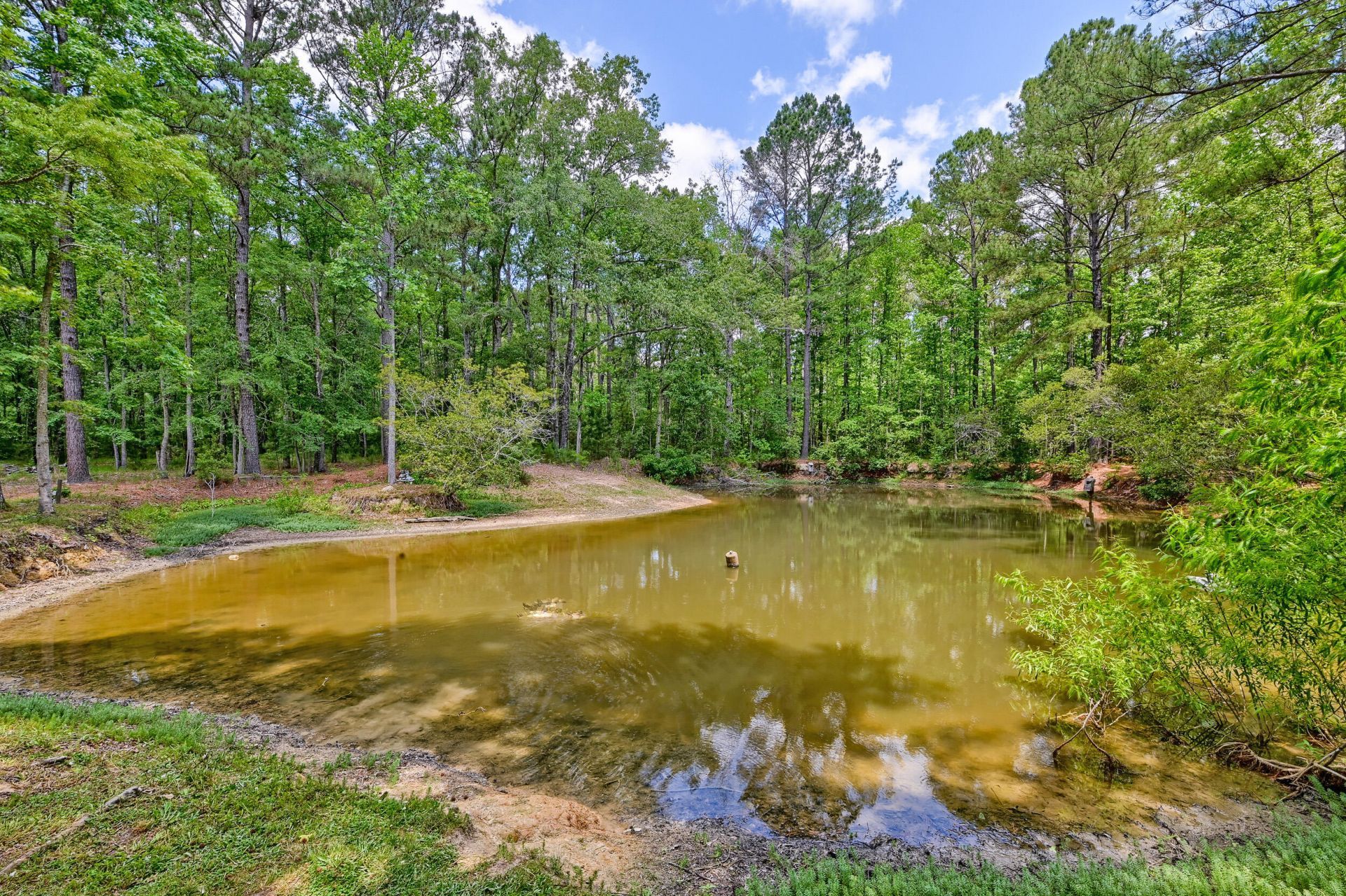 157 Gallashaw Road Photo 57