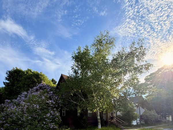305 E Truman BLVD, Newberry, MI 49868