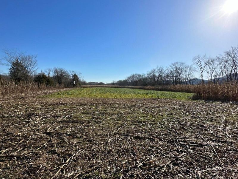 16675 US Highway 52, Manchester, OH 45144 Photo 43