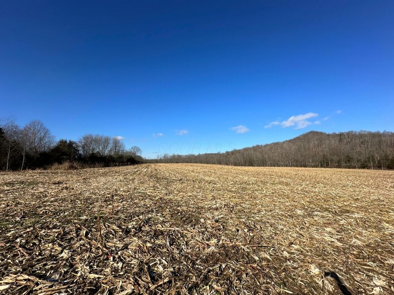 16675 US Highway 52, Manchester, OH 45144 Photo 52
