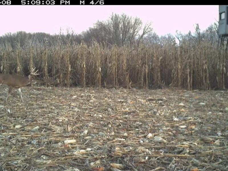 16675 US Highway 52, Manchester, OH 45144 Photo 67