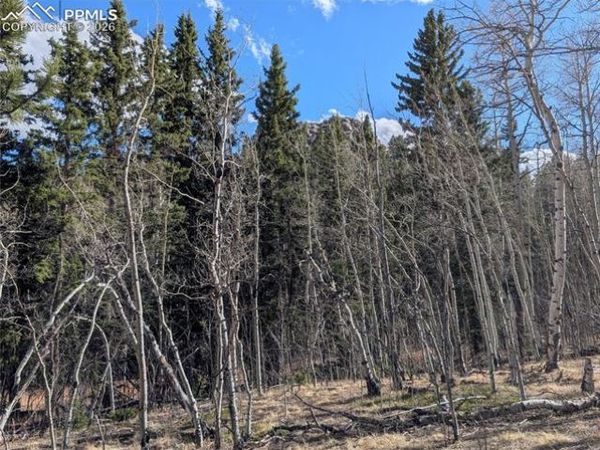 585 Eagle Rock Road, Florissant, CO 80816