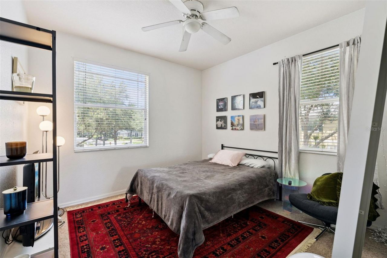 11401 Evesham Drive, Windermere, FL 34786 Photo