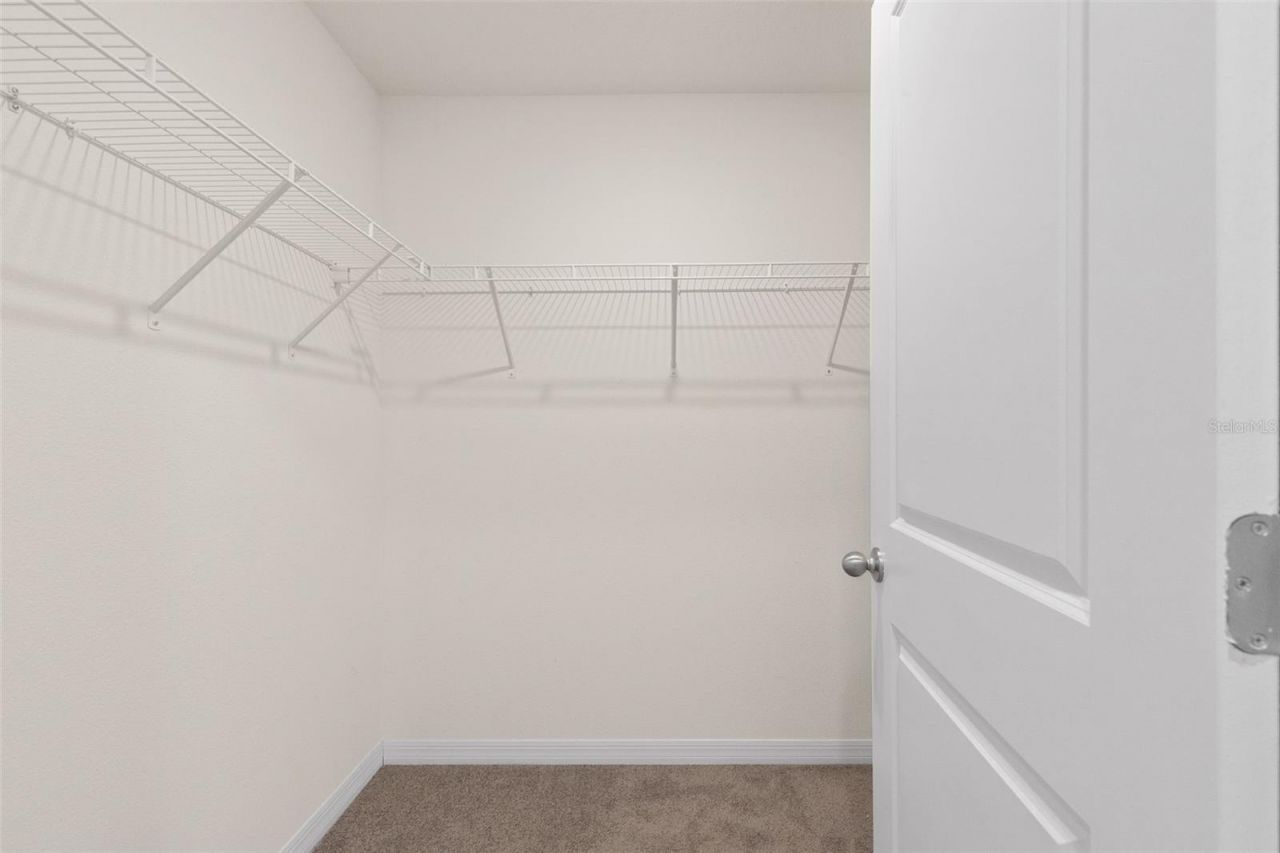 37207 Sharks Eye Lane , Zephyrhills, FL 33541 Photo