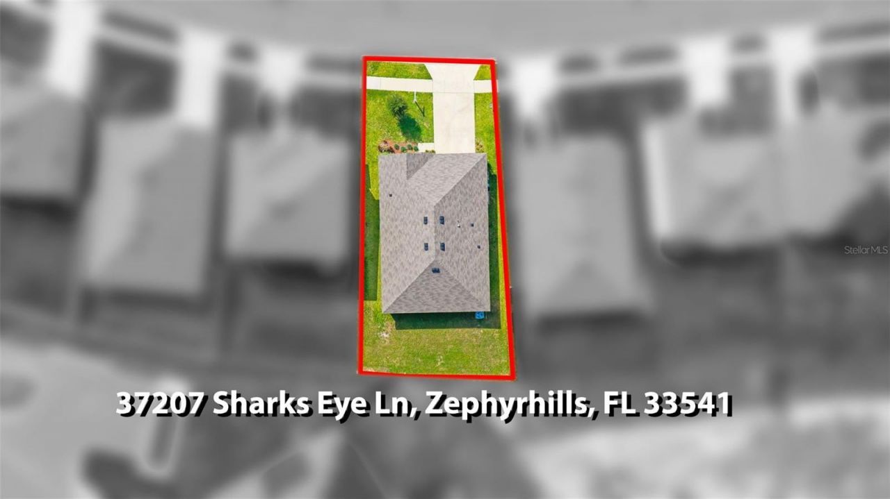 37207 Sharks Eye Lane , Zephyrhills, FL 33541 Photo