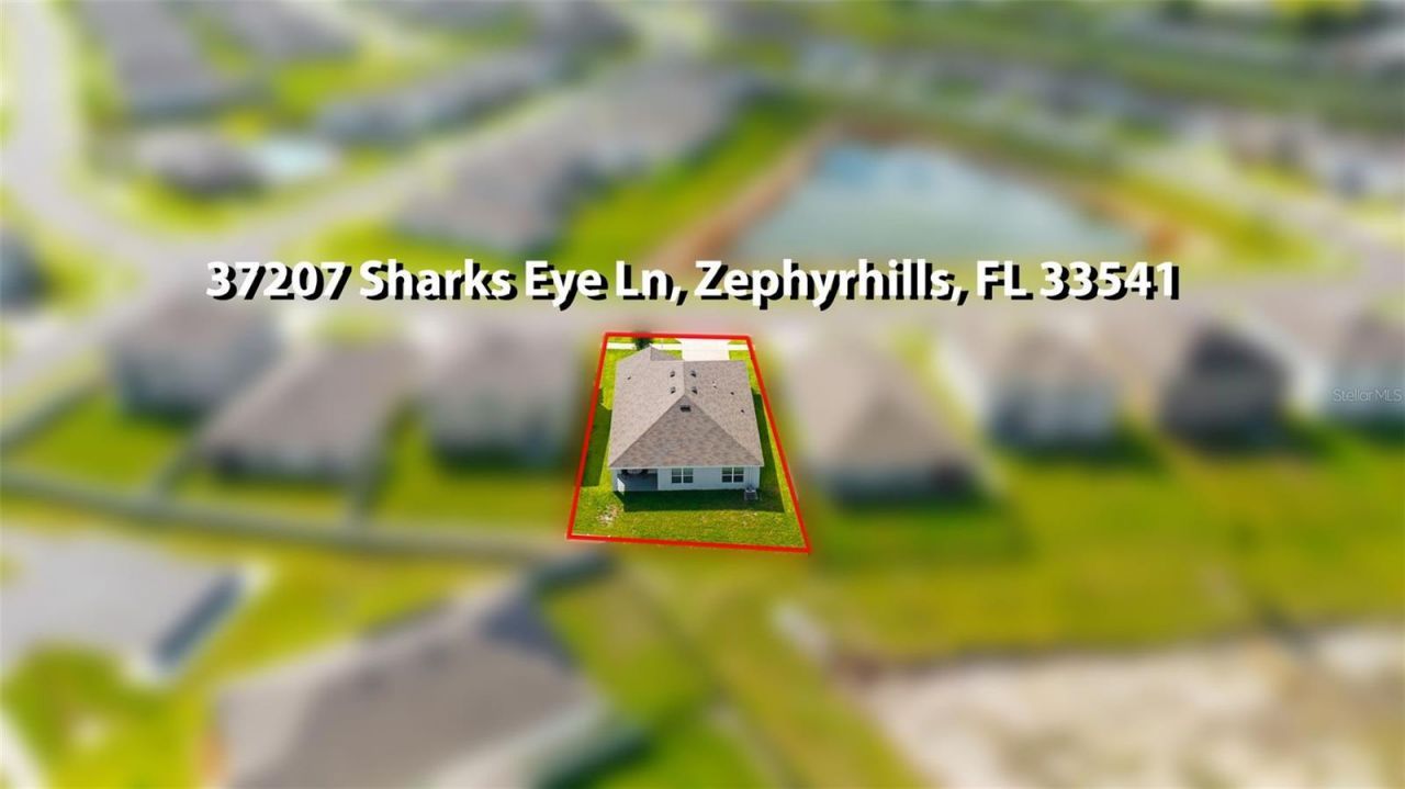 37207 Sharks Eye Lane , Zephyrhills, FL 33541 Photo