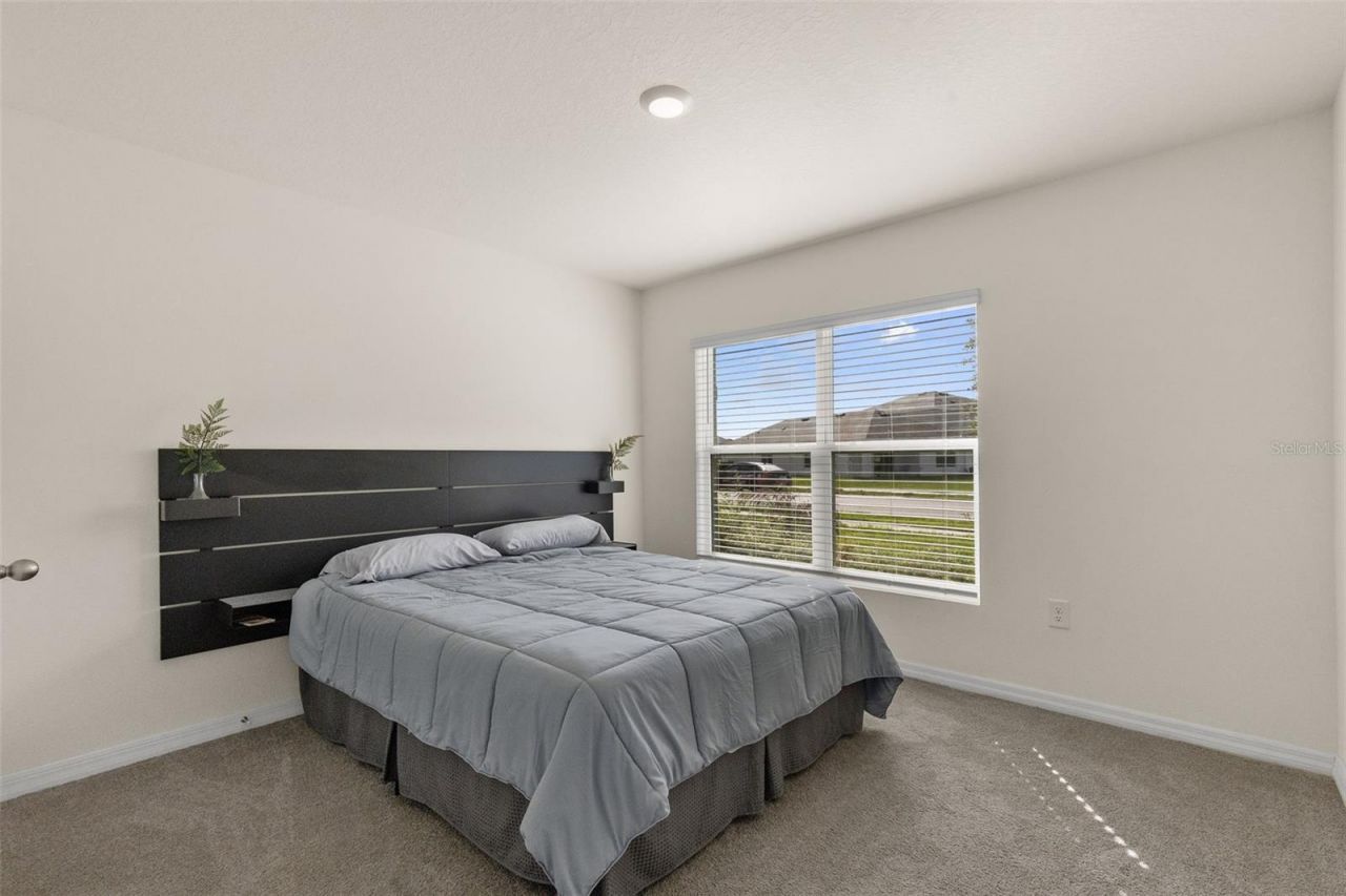 37207 Sharks Eye Lane , Zephyrhills, FL 33541 Photo