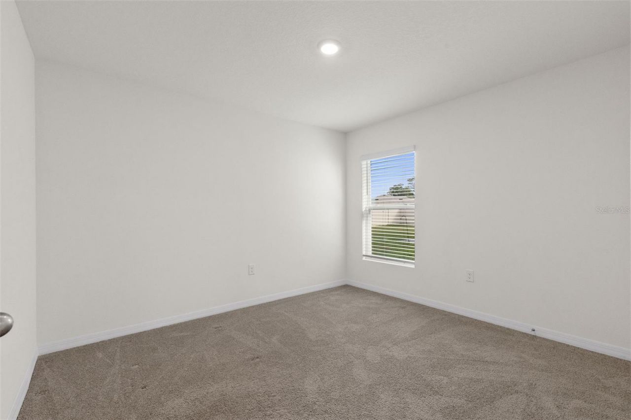 37207 Sharks Eye Lane , Zephyrhills, FL 33541 Photo