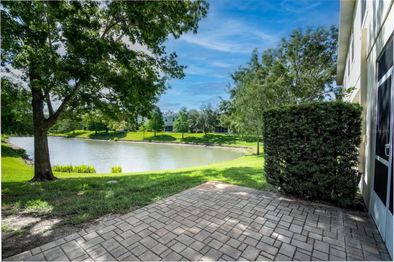 403 Harbor Ridge Drive , Palm Harbor, FL 34683 Photo
