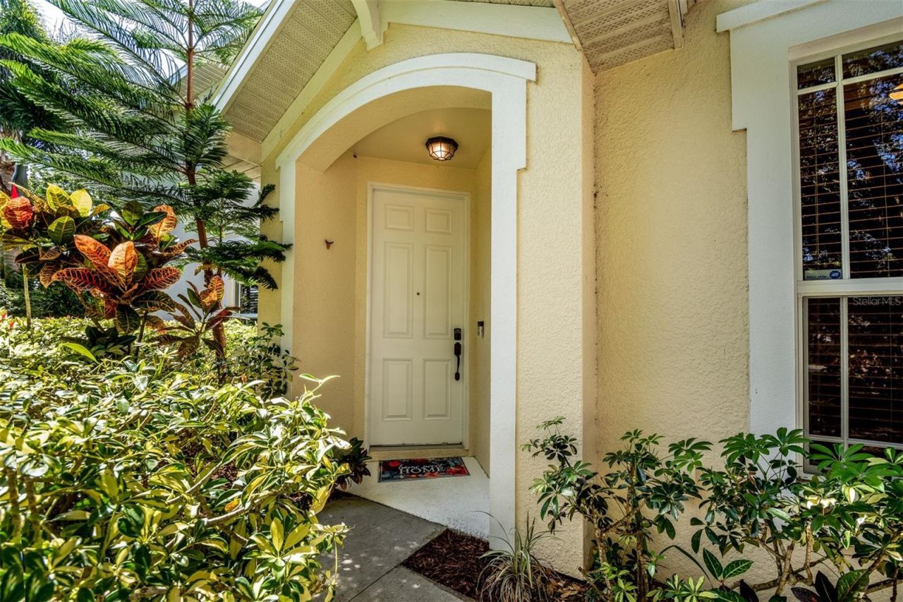 403 Harbor Ridge Drive, Palm Harbor, FL 34683 Photo