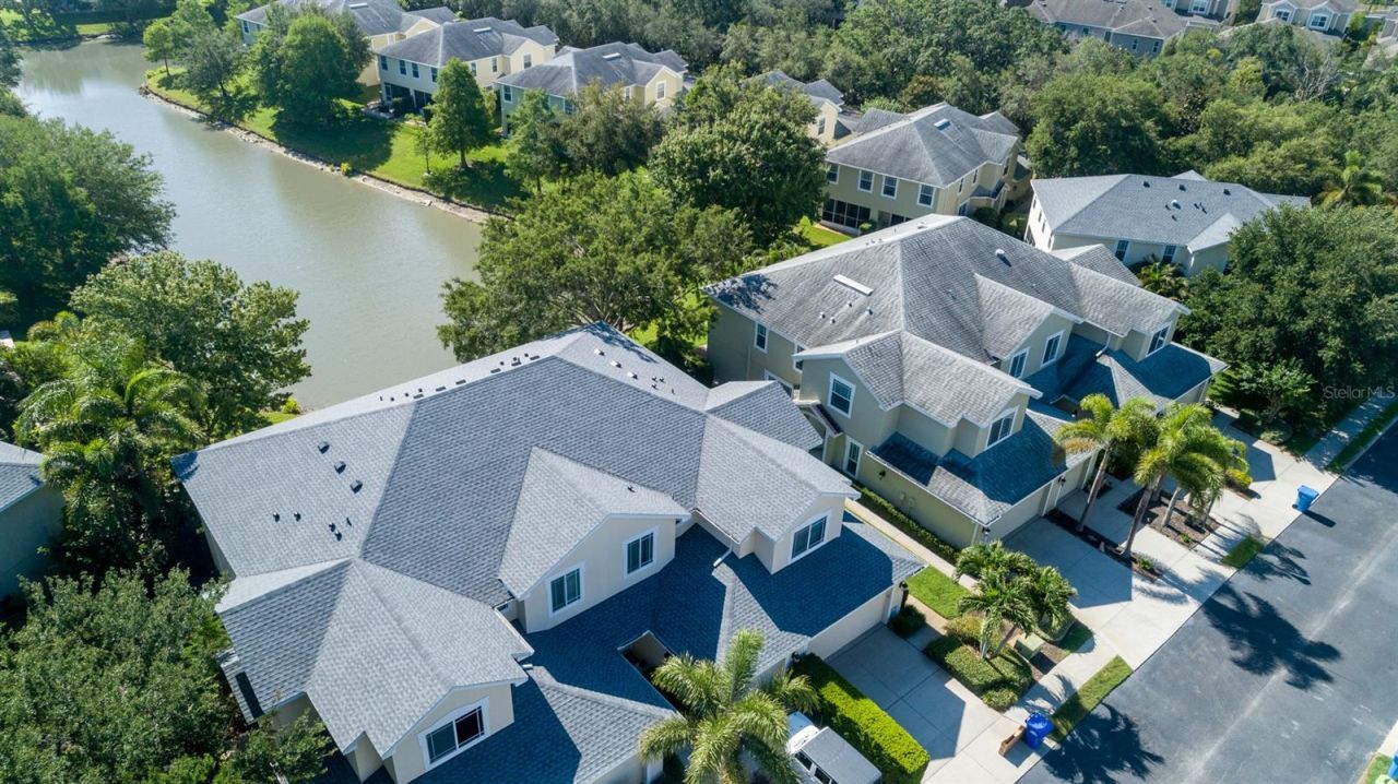 403 Harbor Ridge Drive, Palm Harbor, FL 34683 Photo
