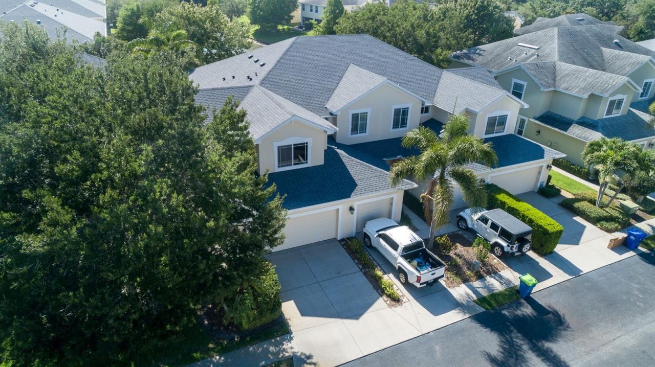 403 Harbor Ridge Drive, Palm Harbor, FL 34683 Photo