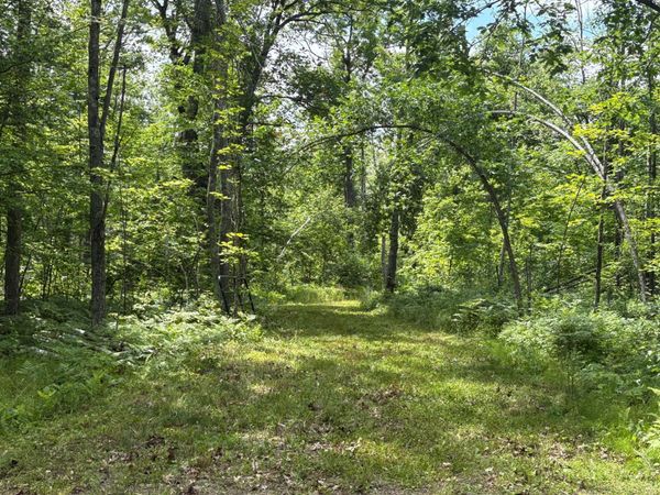 599XX Tamarack River Rd , Sandstone, MN 55072