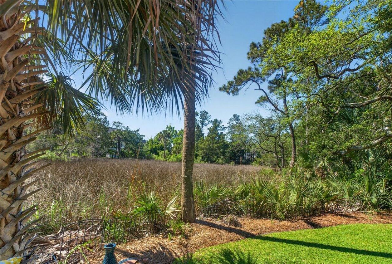 1428 Bloomingdale Lane Photo 4
