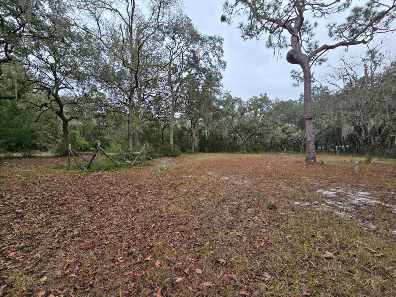 12890 NW 90th Avenue, Chiefland, FL 32626 Photo