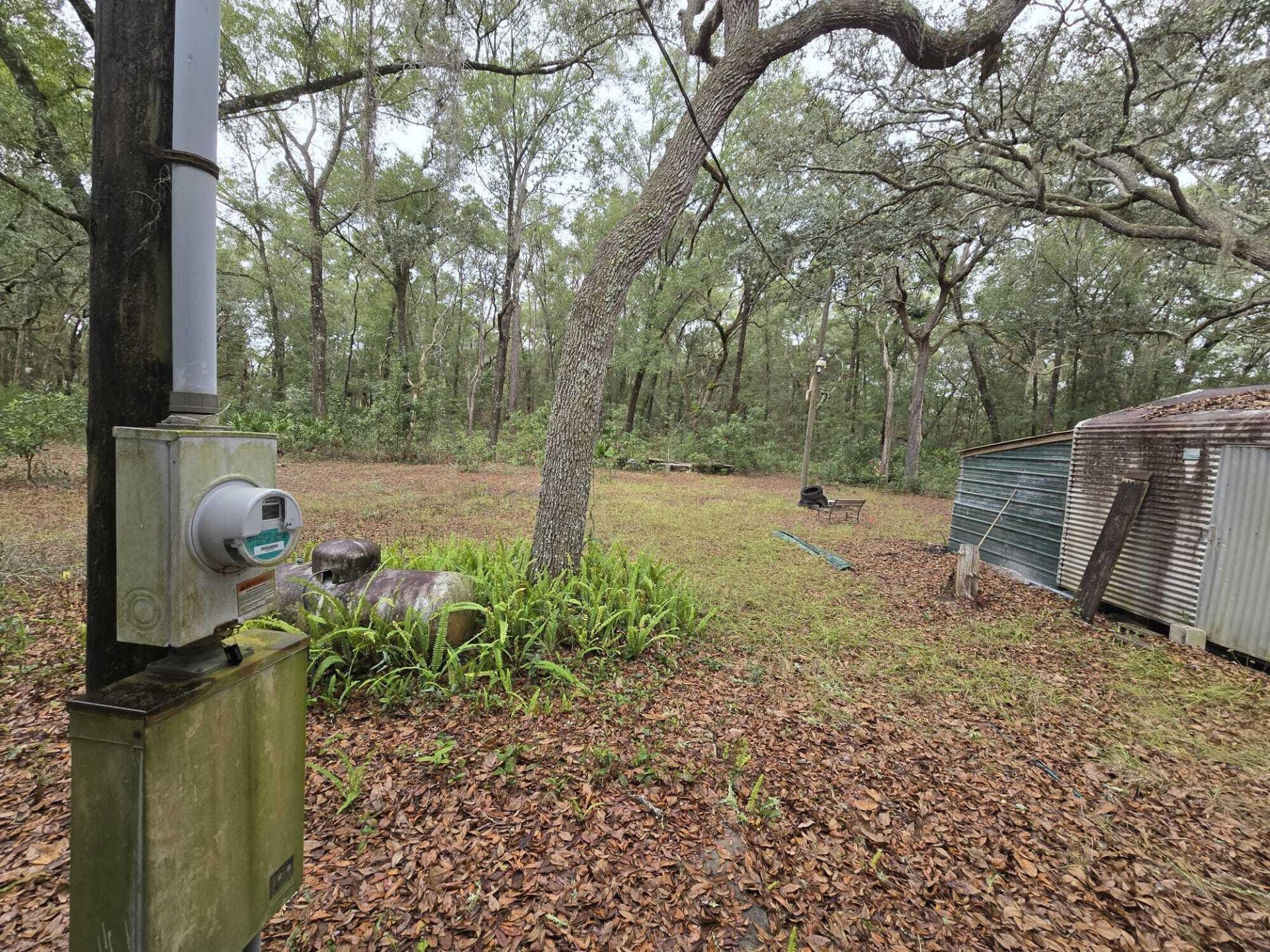 12890 NW 90th Avenue, Chiefland, FL 32626 Photo
