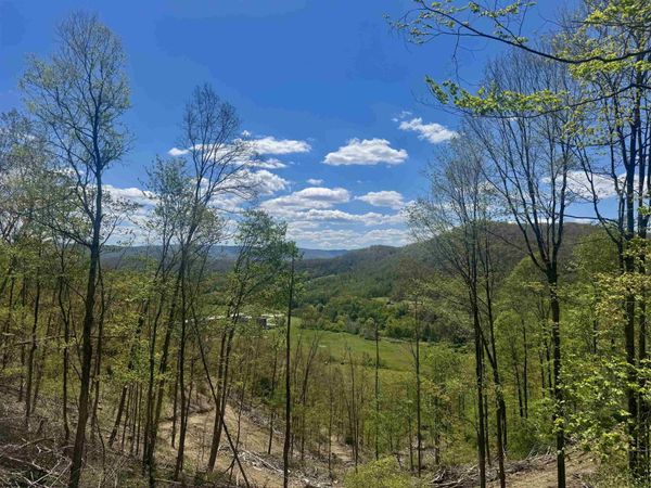 TBD Staunton Parkersburg Turnpike, Durbin, WV 26264