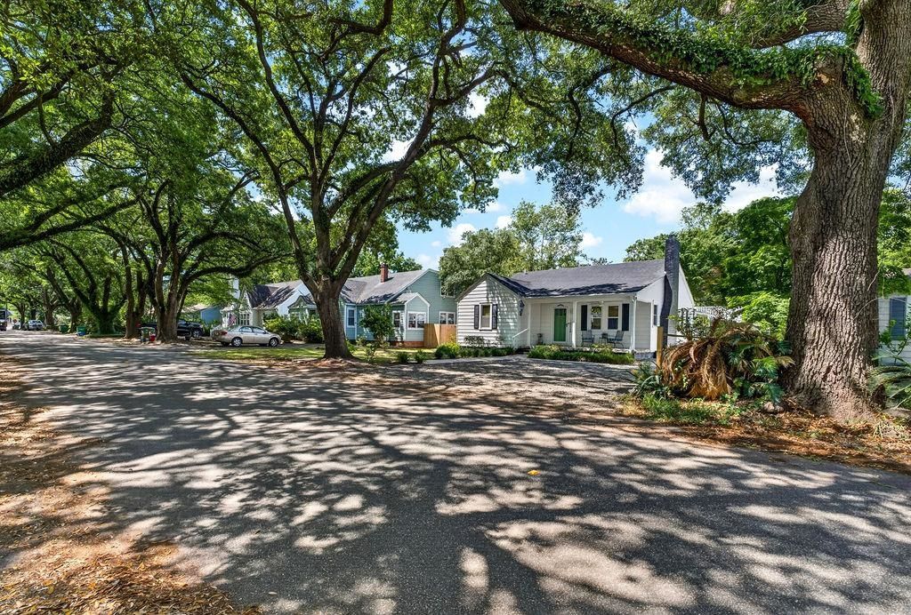 1137 Palmetto St. Photo 48