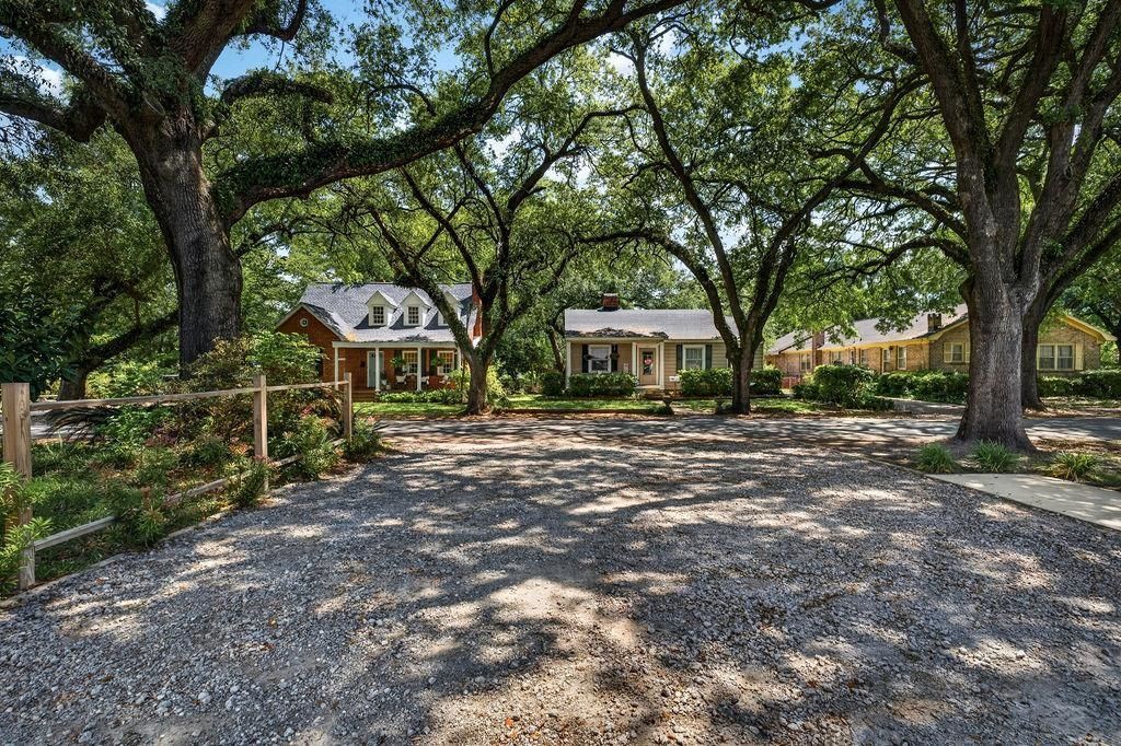 1137 Palmetto St. Photo 49