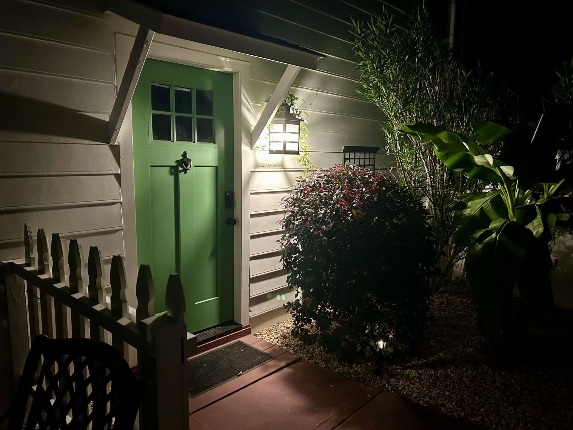 1137 Palmetto St. Photo 52