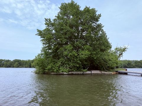Main Photo