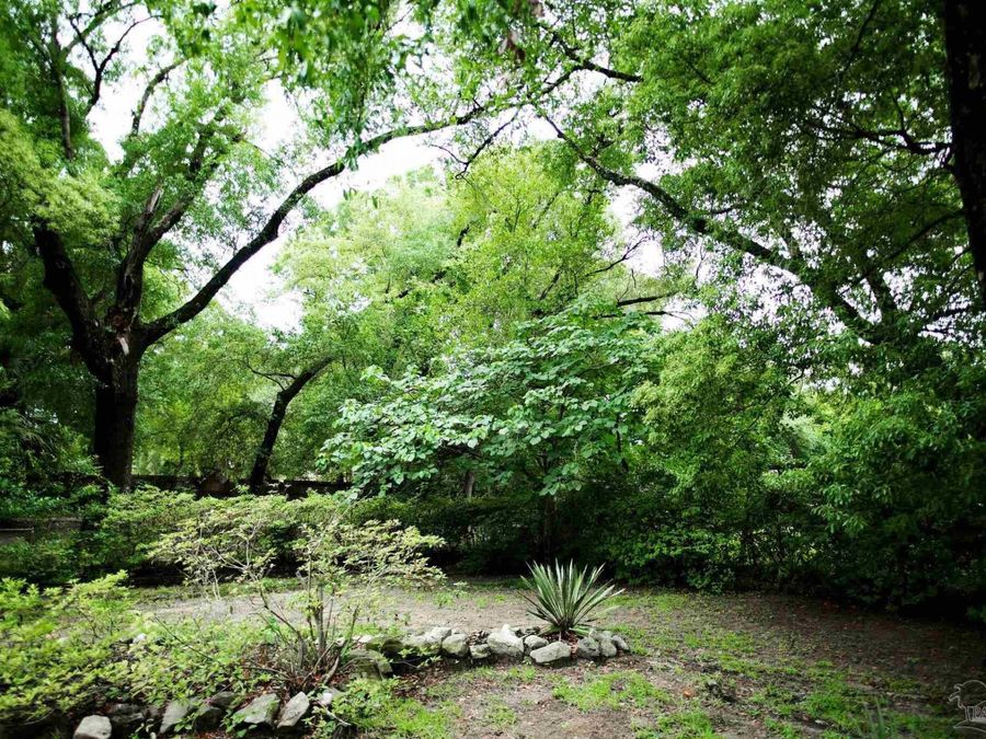 Property Image 44