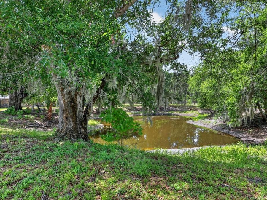 Property Image 60