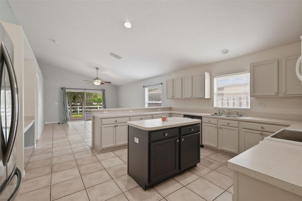 3002 Lorimer Ct , Groveland, FL 34736 Photo