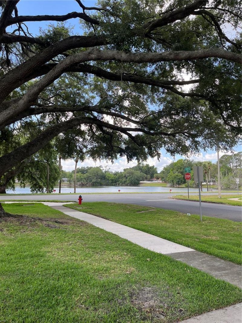 3001 Stratford Lane , Mount Dora, FL 32757 Photo