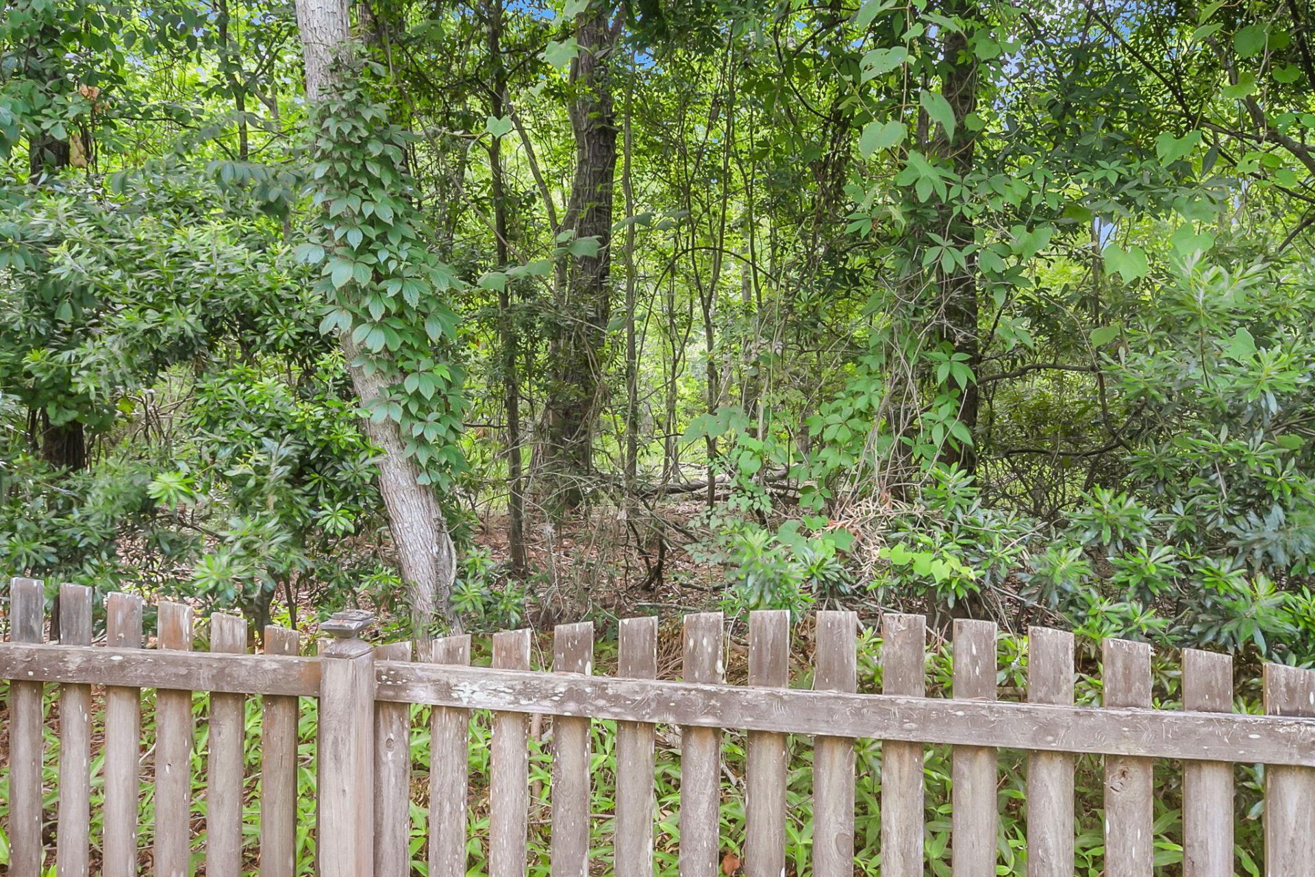 2629 Coral Vine Court Photo 13