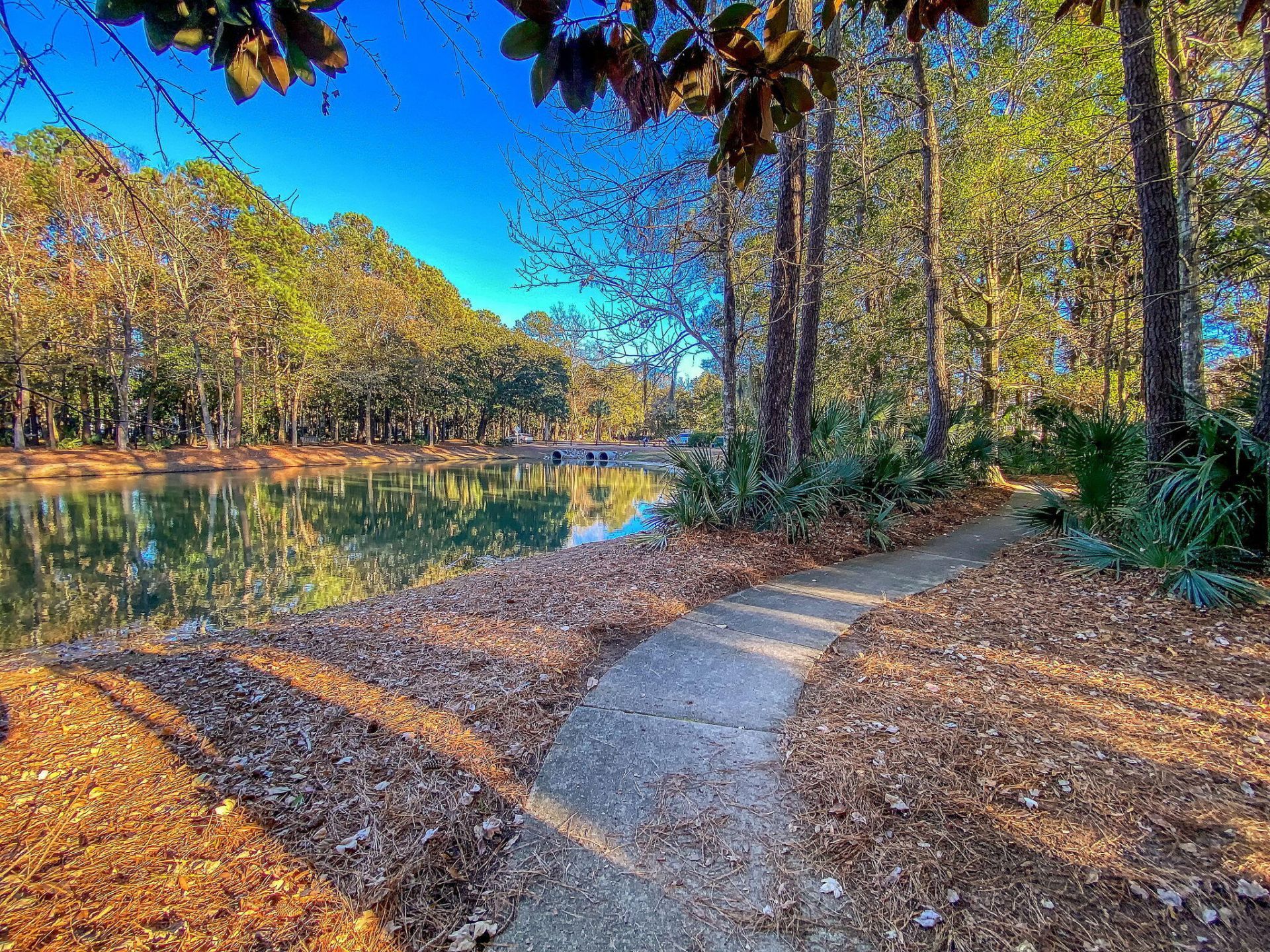2629 Coral Vine Court Photo 72