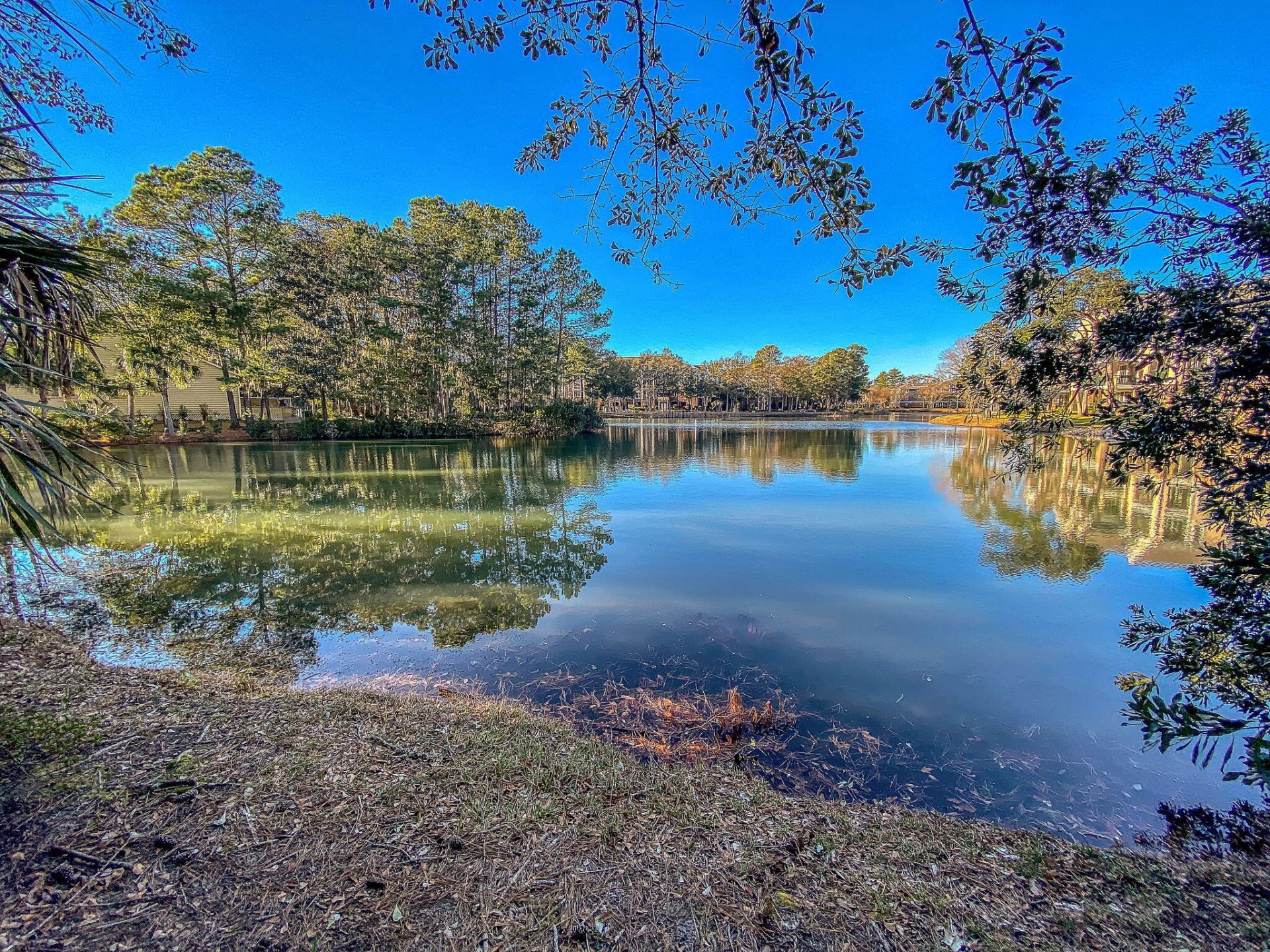 2629 Coral Vine Court Photo 73