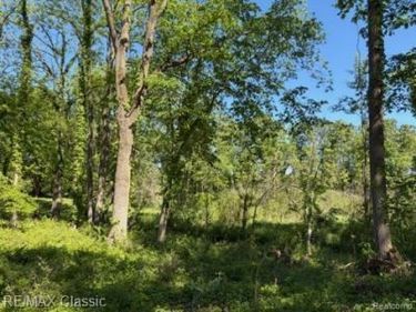 0000 Old Mill Road, Hamburg Township, Mi 48169