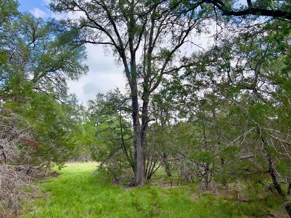 Lot 43-A Narrows RD, Unit 1, Blanco, TX 78606