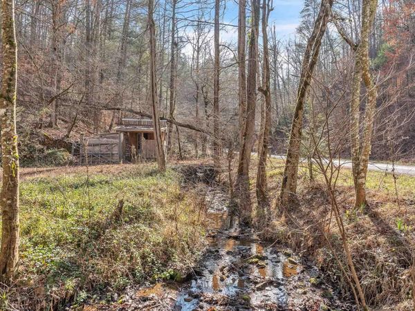 1559 Spring Creek Road , Reliance, TN 37369