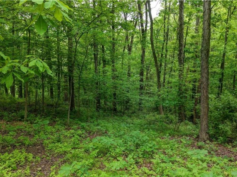 Tatman Road , Uhrichsville, OH 44683 Photo 4