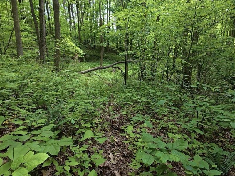 Tatman Road , Uhrichsville, OH 44683 Photo 5