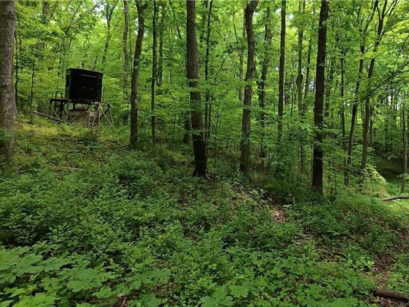 Tatman Road , Uhrichsville, OH 44683 Photo 6