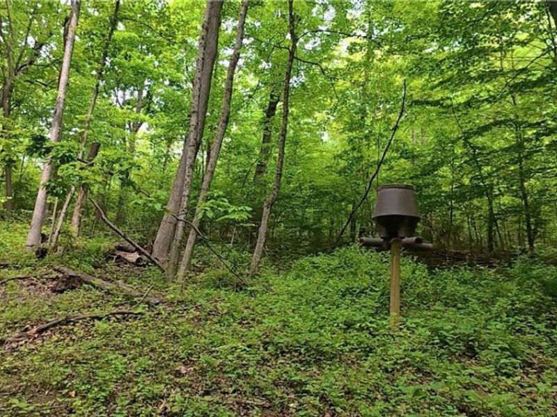 Tatman Road , Uhrichsville, OH 44683 Photo 7