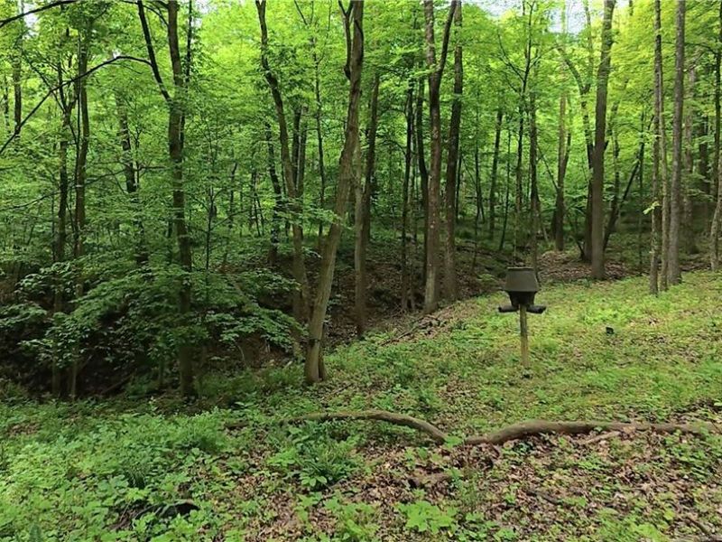 Tatman Road , Uhrichsville, OH 44683 Photo 8