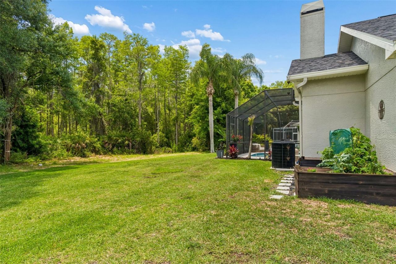 1021 Arlinbrook Drive , Trinity, FL 34655 Photo