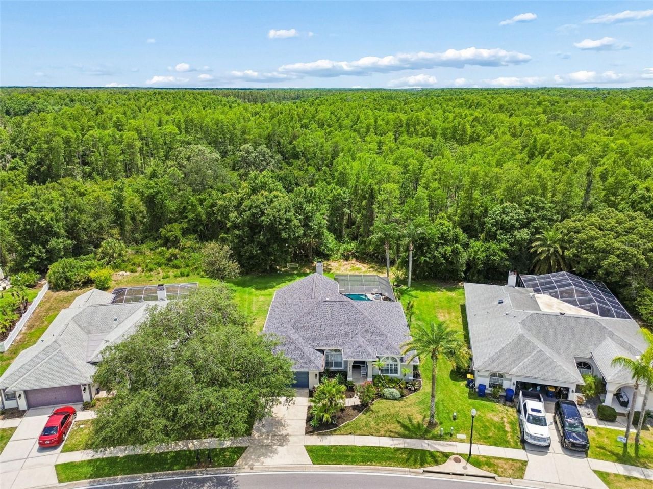 1021 Arlinbrook Drive , Trinity, FL 34655 Photo
